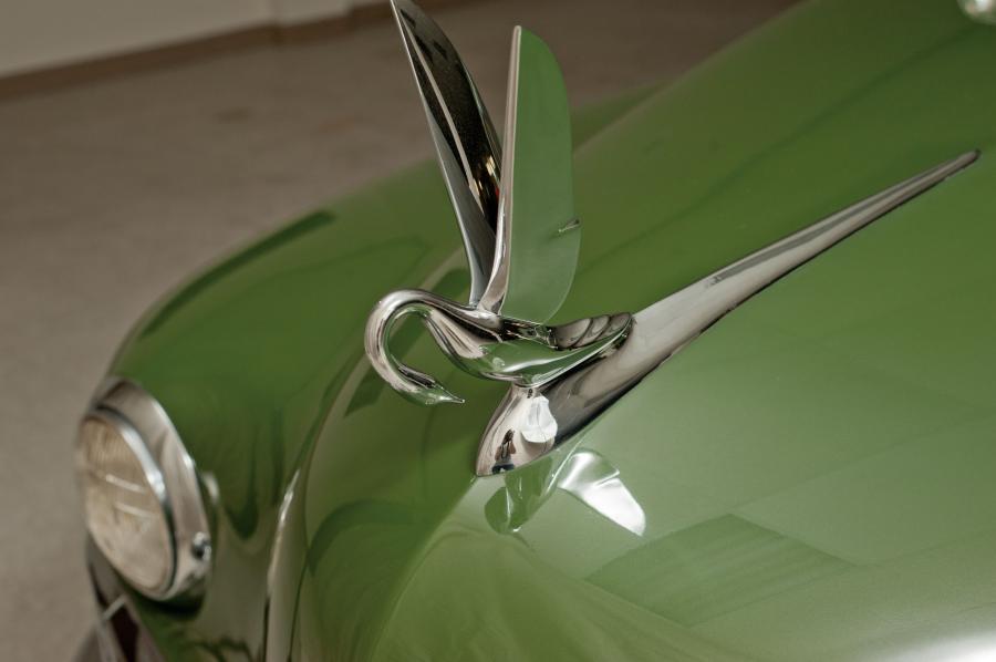 Логотип Packard Eight Station Sedan (2293) 1948 года  (фото 46 из 63)